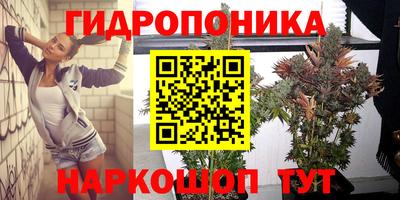 гашик Жуковский