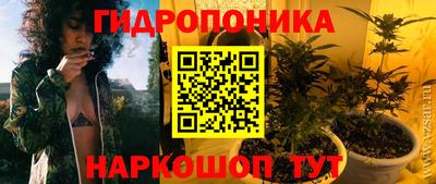 гашик Жуковский