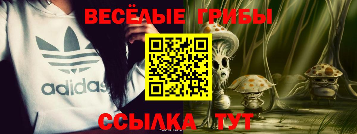 Галлюциногенные грибы мицелий Лабинск